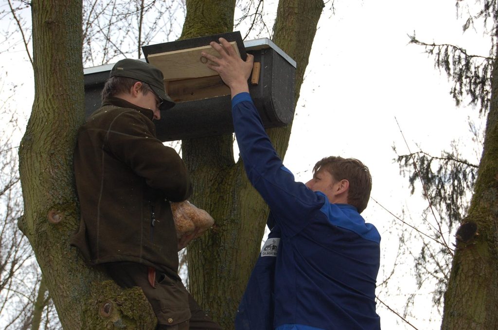 Michael Garbe und Holger Frerk beim aufbau des Eulenkastens